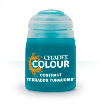 Contrast terradon turquoise